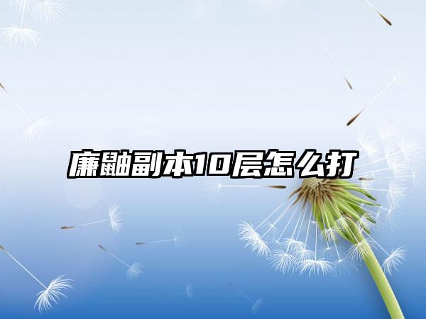 廉鼬副本10层怎么打