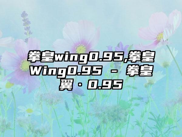 拳皇wing0.95,拳皇Wing0.95 - 拳皇翼·0.95