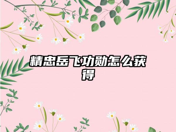 精忠岳飞功勋怎么获得