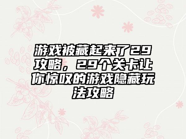 游戏被藏起来了29攻略，29个关卡让你惊叹的游戏隐藏玩法攻略