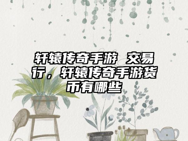 轩辕传奇手游 交易行，轩辕传奇手游货币有哪些