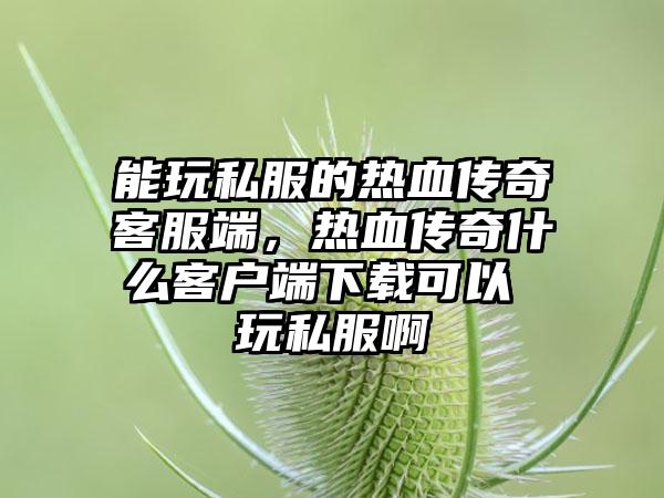 能玩私服的热血传奇客服端，热血传奇什么客户端下载可以 玩私服啊