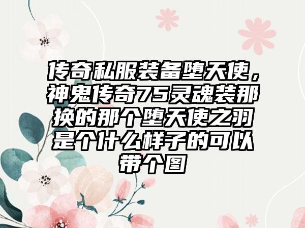 传奇私服装备堕天使，神鬼传奇75灵魂装那换的那个堕天使之羽是个什么样子的可以带个图