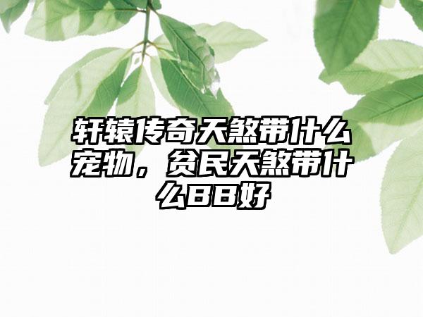 轩辕传奇天煞带什么宠物，贫民天煞带什么BB好