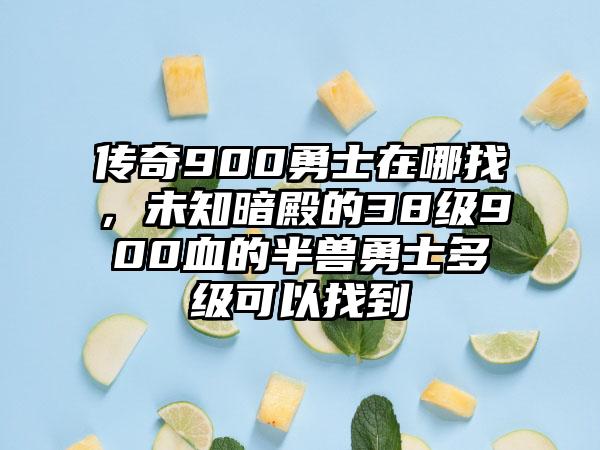 传奇900勇士在哪找，未知暗殿的38级900血的半兽勇士多级可以找到