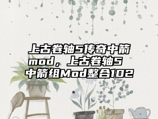 上古卷轴5传奇中箭mod，上古卷轴5 中箭组Mod整合102