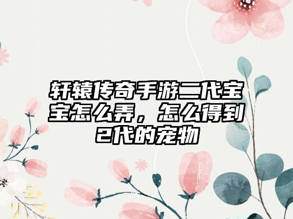 轩辕传奇手游二代宝宝怎么弄，怎么得到2代的宠物