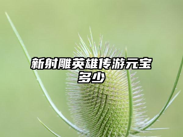 新射雕英雄传游元宝多少