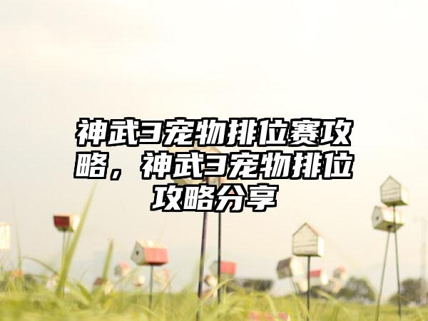 神武3宠物排位赛攻略，神武3宠物排位攻略分享