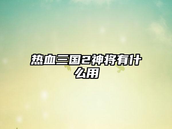 热血三国2神将有什么用