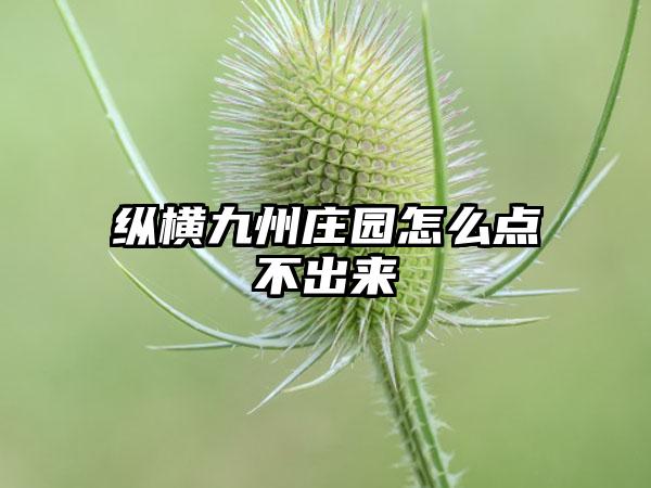 纵横九州庄园怎么点不出来