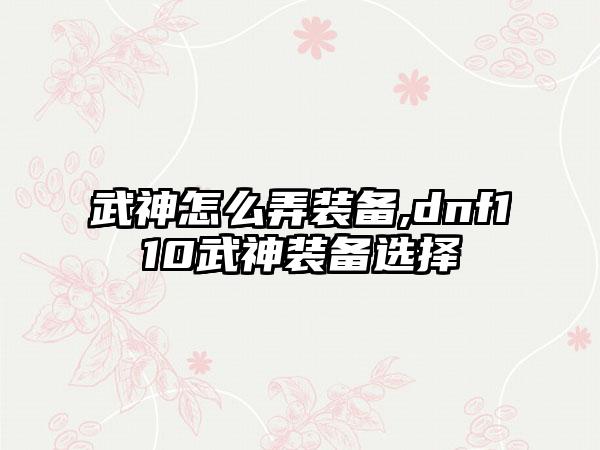 武神怎么弄装备,dnf110武神装备选择