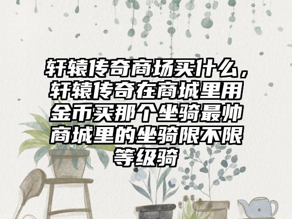 轩辕传奇商场买什么，轩辕传奇在商城里用金币买那个坐骑最帅商城里的坐骑限不限等级骑