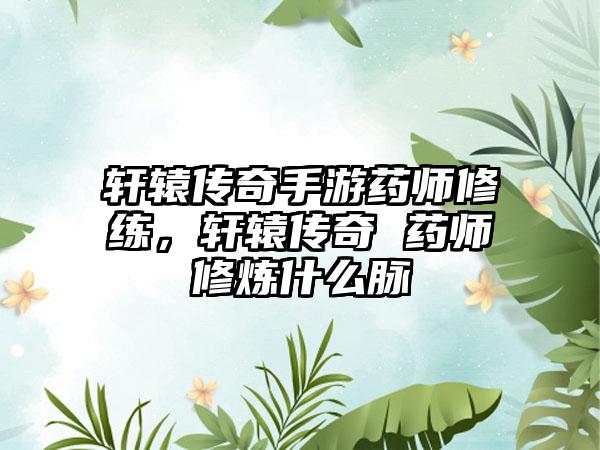 轩辕传奇手游药师修练，轩辕传奇 药师修炼什么脉