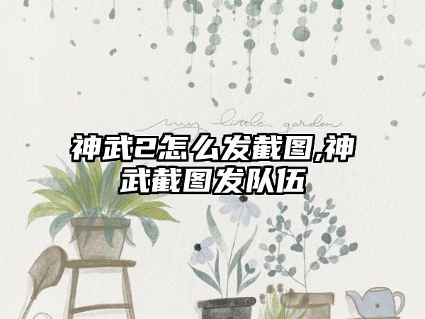 神武2怎么发截图,神武截图发队伍