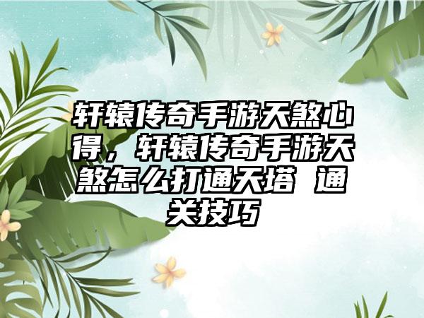 轩辕传奇手游天煞心得，轩辕传奇手游天煞怎么打通天塔 通关技巧