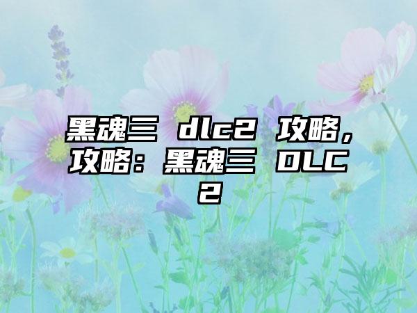 黑魂三 dlc2 攻略，攻略：黑魂三 DLC2