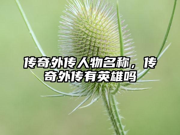 传奇外传人物名称，传奇外传有英雄吗