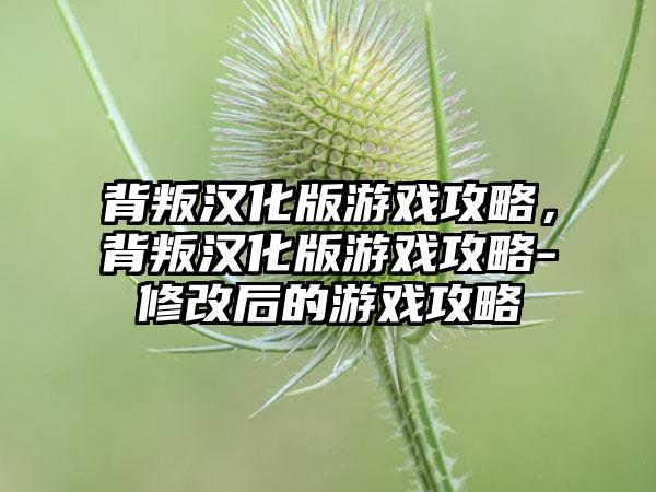 背叛汉化版游戏攻略，背叛汉化版游戏攻略-修改后的游戏攻略