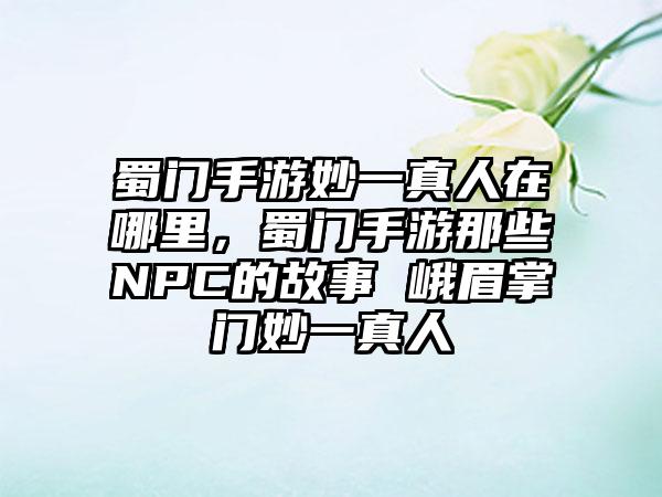 蜀门手游妙一真人在哪里，蜀门手游那些NPC的故事 峨眉掌门妙一真人