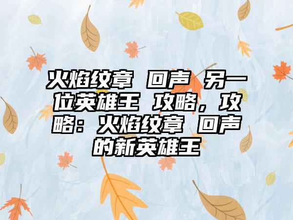 火焰纹章 回声 另一位英雄王 攻略，攻略：火焰纹章 回声的新英雄王