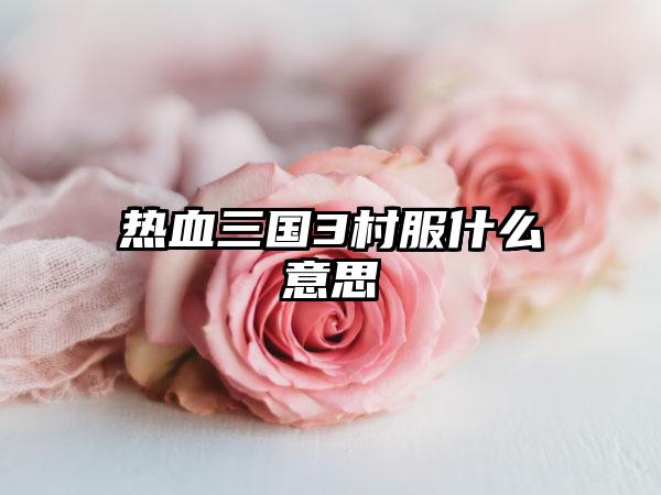 热血三国3村服什么意思