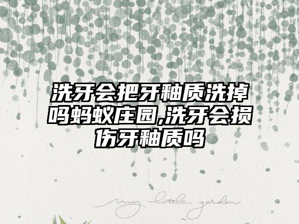 洗牙会把牙釉质洗掉吗蚂蚁庄园,洗牙会损伤牙釉质吗