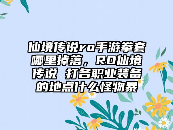 仙境传说ro手游拳套哪里掉落，RO仙境传说 打各职业装备的地点什么怪物暴