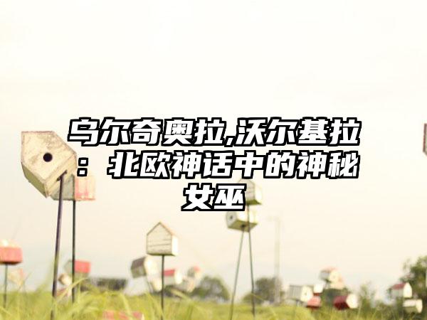 乌尔奇奥拉,沃尔基拉：北欧神话中的神秘女巫
