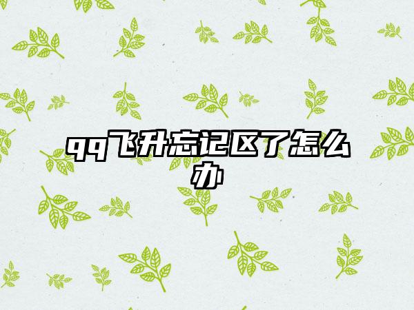 qq飞升忘记区了怎么办