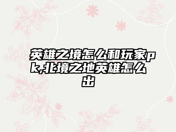 英雄之境怎么和玩家pk,北境之地英雄怎么出