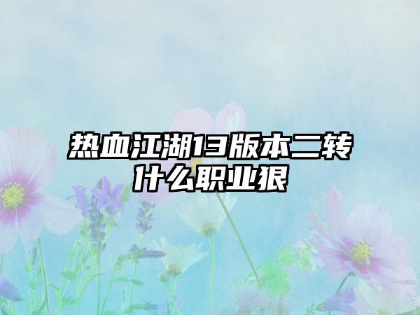 热血江湖13版本二转什么职业狠