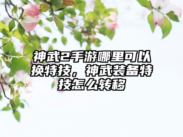 神武2手游哪里可以换特技，神武装备特技怎么转移