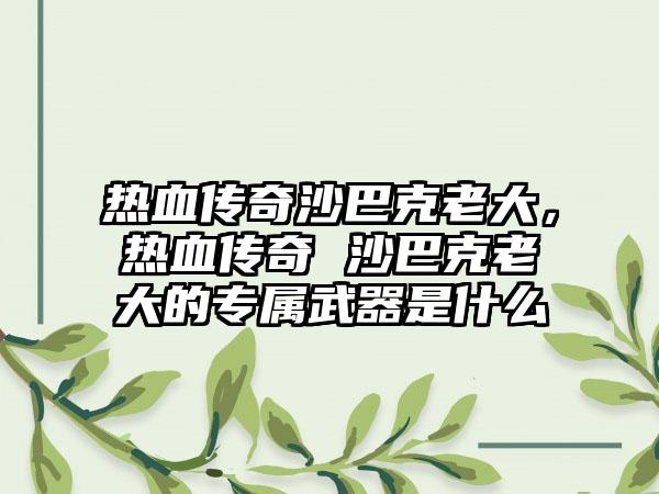 热血传奇沙巴克老大，热血传奇 沙巴克老大的专属武器是什么