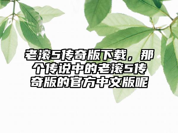 老滚5传奇版下载，那个传说中的老滚5传奇版的官方中文版呢