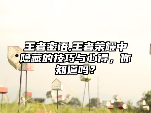 王者密语,王者荣耀中隐藏的技巧与心得，你知道吗？