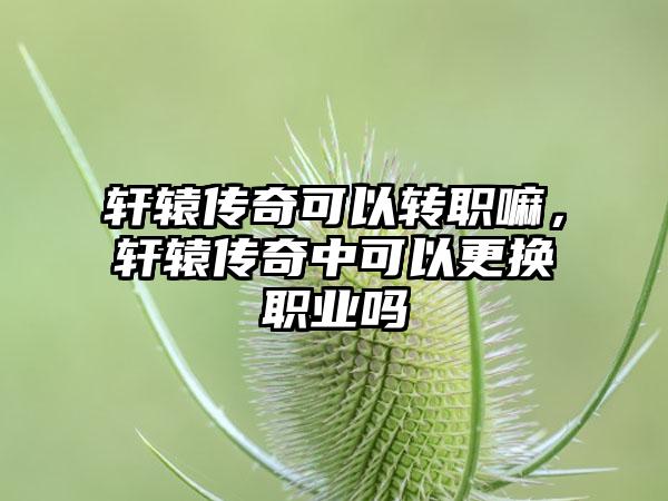 轩辕传奇可以转职嘛，轩辕传奇中可以更换职业吗