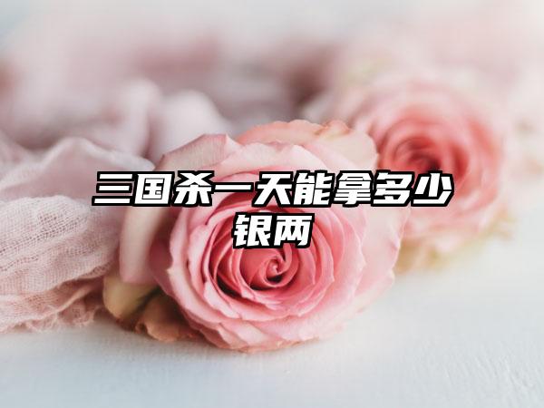 三国杀一天能拿多少银两