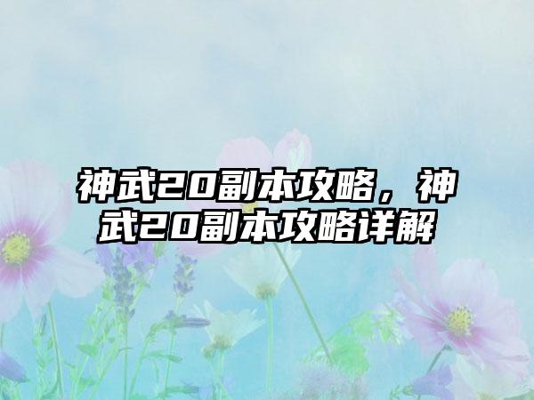 神武20副本攻略，神武20副本攻略详解
