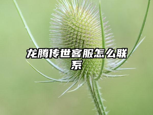 龙腾传世客服怎么联系