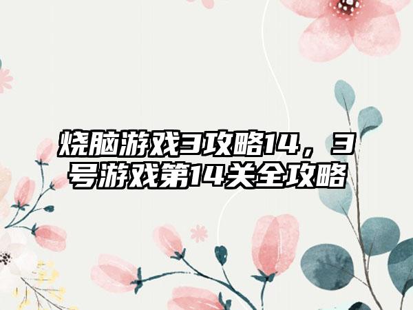 烧脑游戏3攻略14，3号游戏第14关全攻略