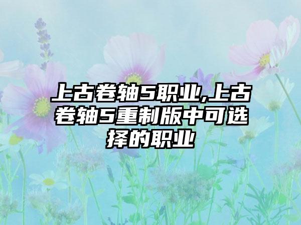 上古卷轴5职业,上古卷轴5重制版中可选择的职业