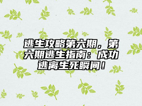 逃生攻略第六期，第六期逃生指南：成功逃离生死瞬间！