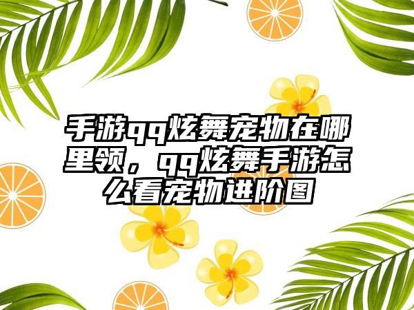 手游qq炫舞宠物在哪里领，qq炫舞手游怎么看宠物进阶图
