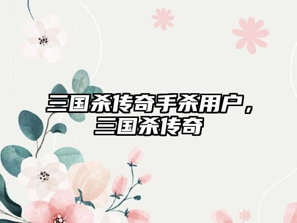 三国杀传奇手杀用户，三国杀传奇
