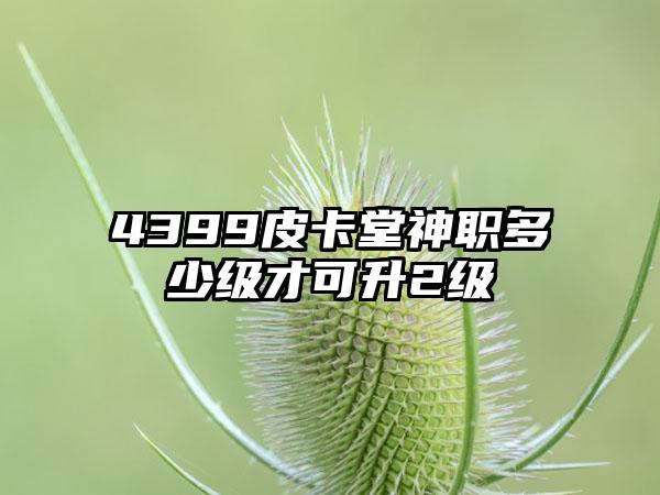 4399皮卡堂神职多少级才可升2级