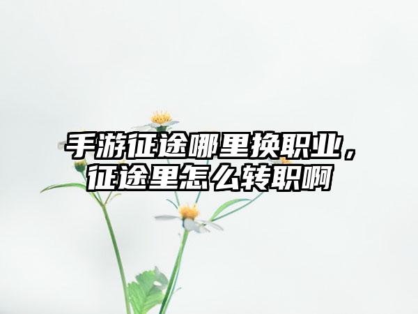 手游征途哪里换职业，征途里怎么转职啊
