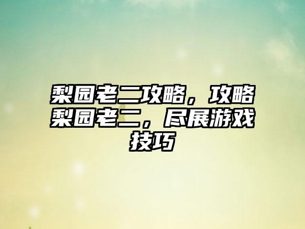 梨园老二攻略，攻略梨园老二，尽展游戏技巧