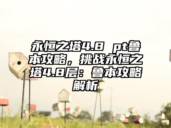 永恒之塔4.8 pt鲁本攻略，挑战永恒之塔4.8层：鲁本攻略解析