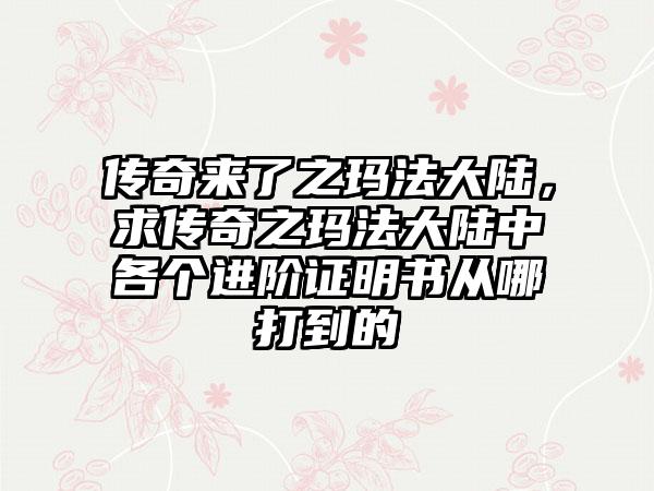 传奇来了之玛法大陆，求传奇之玛法大陆中各个进阶证明书从哪打到的